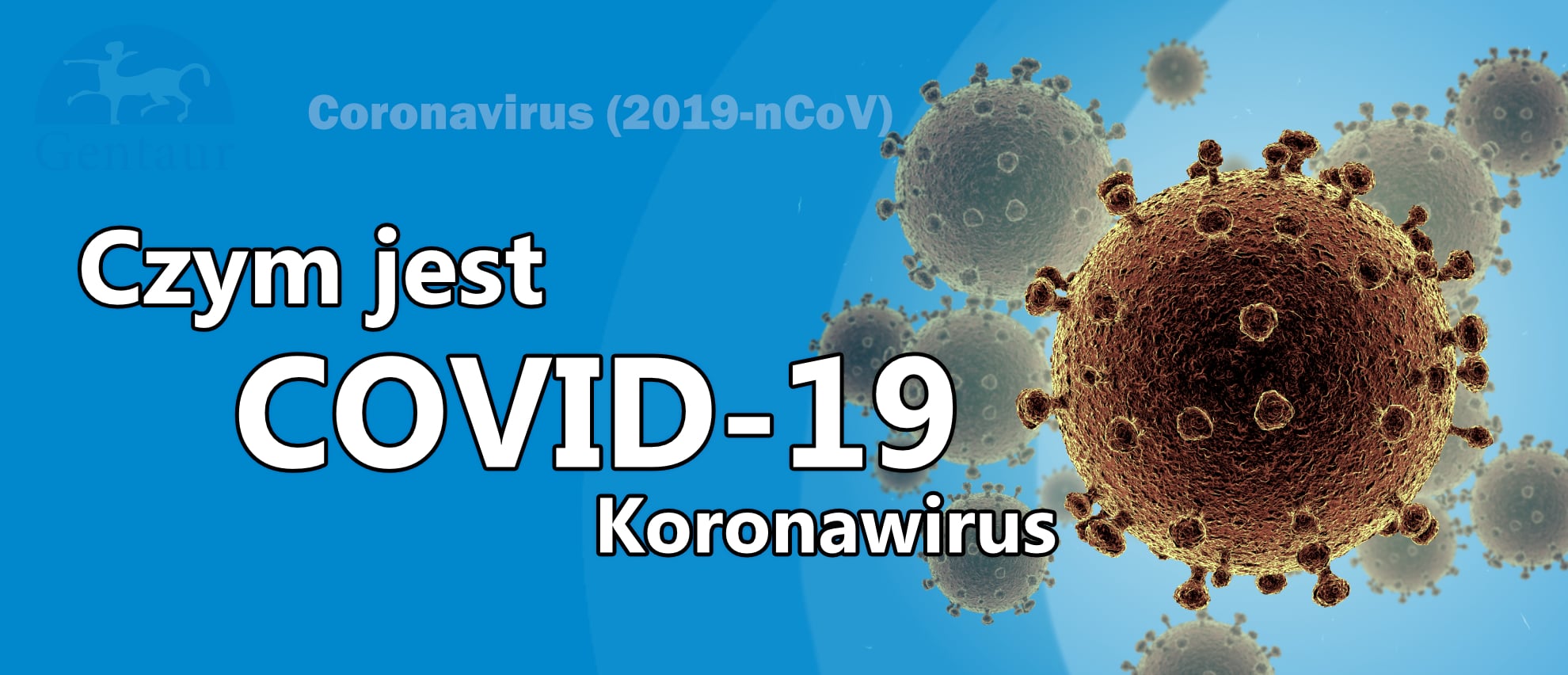 czym jest- koronawirus covid-19 corona virus
